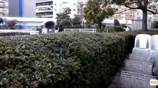 欧美经典动作片女性_欧美亚洲精品成人视频
